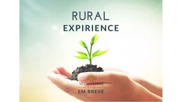 Rural Experience